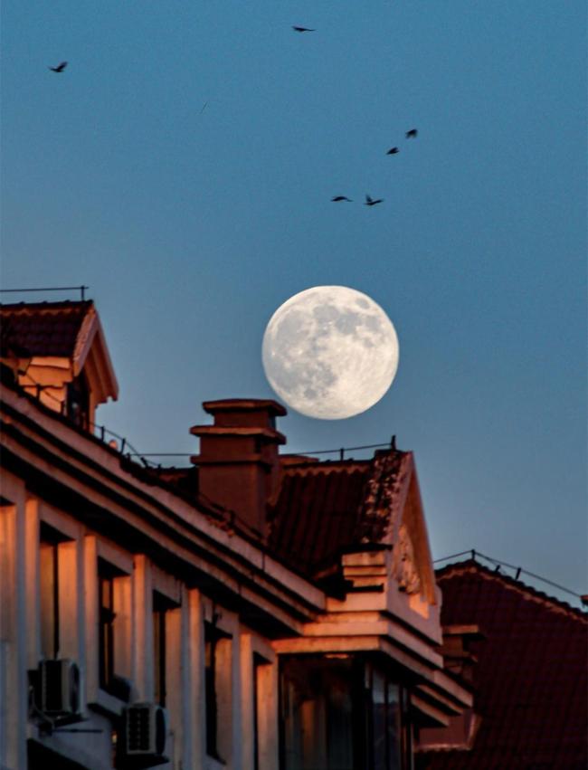 今年最后一次超級月亮看了嗎？