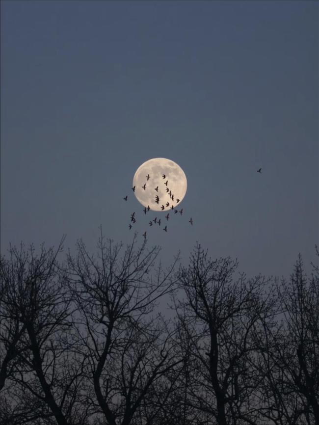 今年最后一次超級月亮看了嗎？