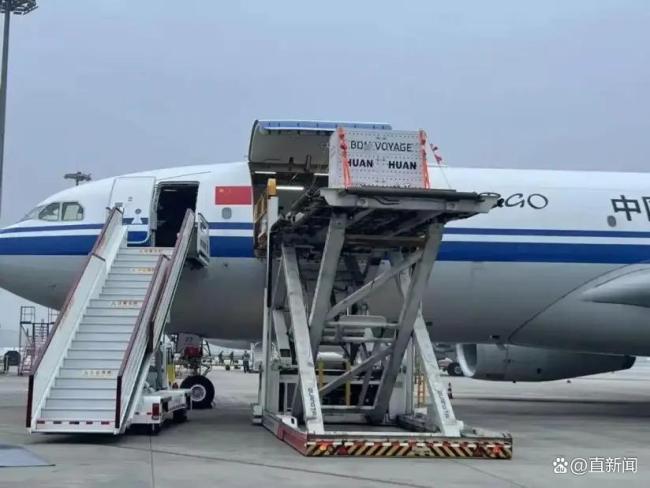 马克龙夫人认出在法出生的熊猫胖了