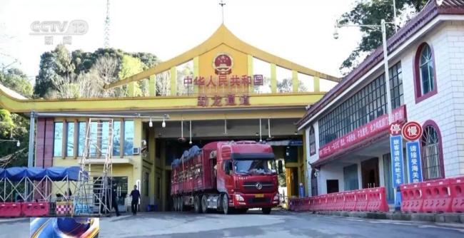 女子褲子內(nèi)藏2斤多活蟲入境 人體夾藏違禁品被查