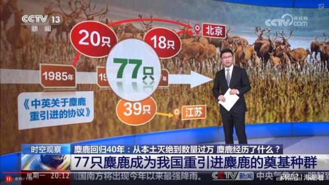 我們是否正在過度保護明星物種？警惕單一數(shù)量指標下的生態(tài)失衡 生態(tài)系統(tǒng)功能被忽視