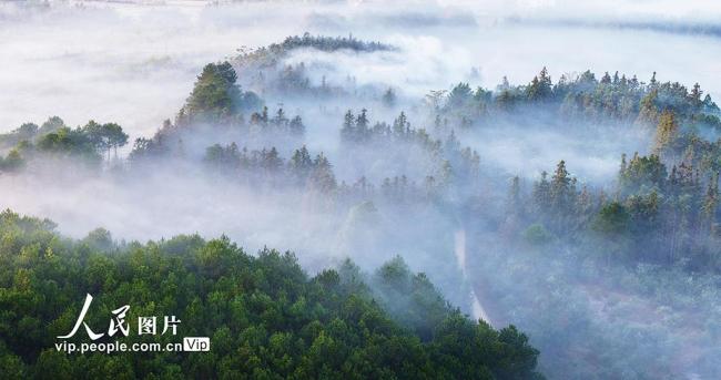 湖南嘉禾：冬日晨曦美如畫