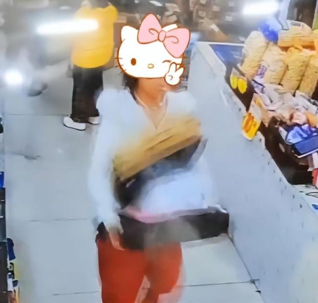 僅退款225個(gè)快遞女子已歸案 惡意“薅羊毛”終落網(wǎng)