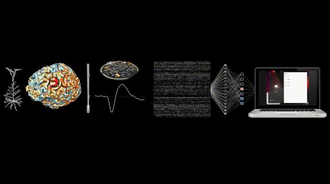 馬斯克機(jī)器人“開(kāi)顱插針”僅1.5秒 未來(lái)腦機(jī)接口手術(shù)效率飛躍