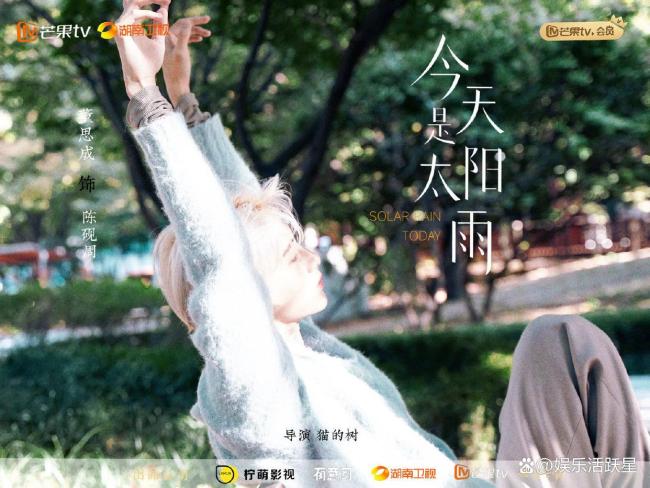 猫的树导演今天是太阳雨 青春治愈双向救赎