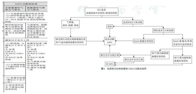 4歲女童甲流合并細菌感染“白肺” 警惕混合感染風險