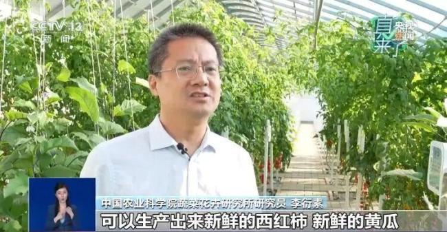 反季節(jié)蔬菜吃了等于白吃？假的 粉碎謠言，真相來(lái)了