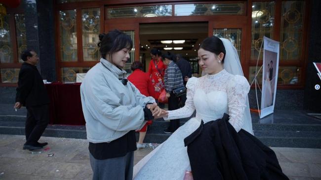 为126只流浪猫狗 女孩每年蹭百场婚宴 善意接力照亮希望