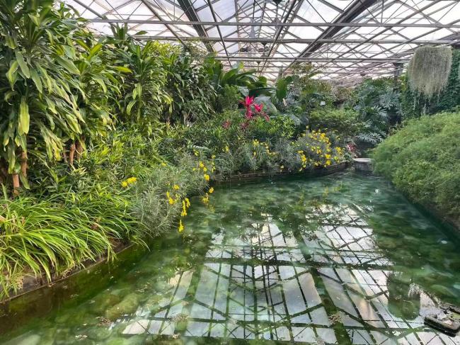 超适合冬日遛娃,北京室内“热带雨林”攻略请收好 温暖景美亲子游