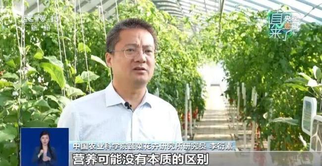 反季節(jié)蔬菜吃了等于白吃？謠言 粉碎不實傳言