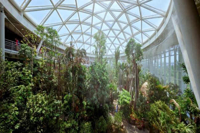 超适合冬日遛娃,北京室内“热带雨林”攻略请收好 温暖景美亲子游