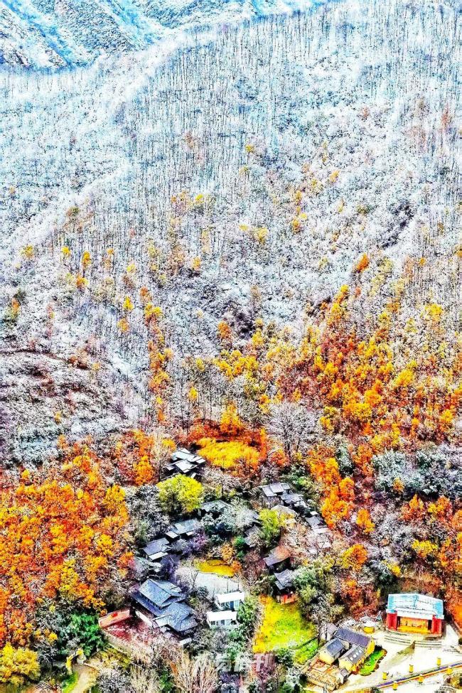 河南冬景上新 雪染山林文旅狂歡