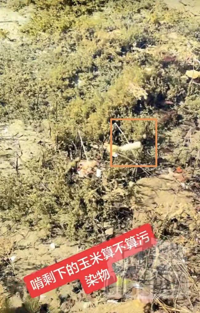 男子在九寨溝景區(qū)扔玉米棒被游客指責 素質(zhì)問題引爭議