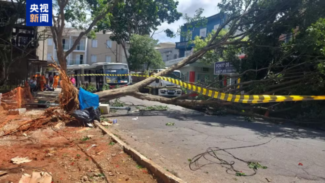 受強(qiáng)風(fēng)影響 巴西超110萬用戶停電