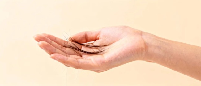 頭發(fā)是身體健康的“報警器” 反映全身健康狀況