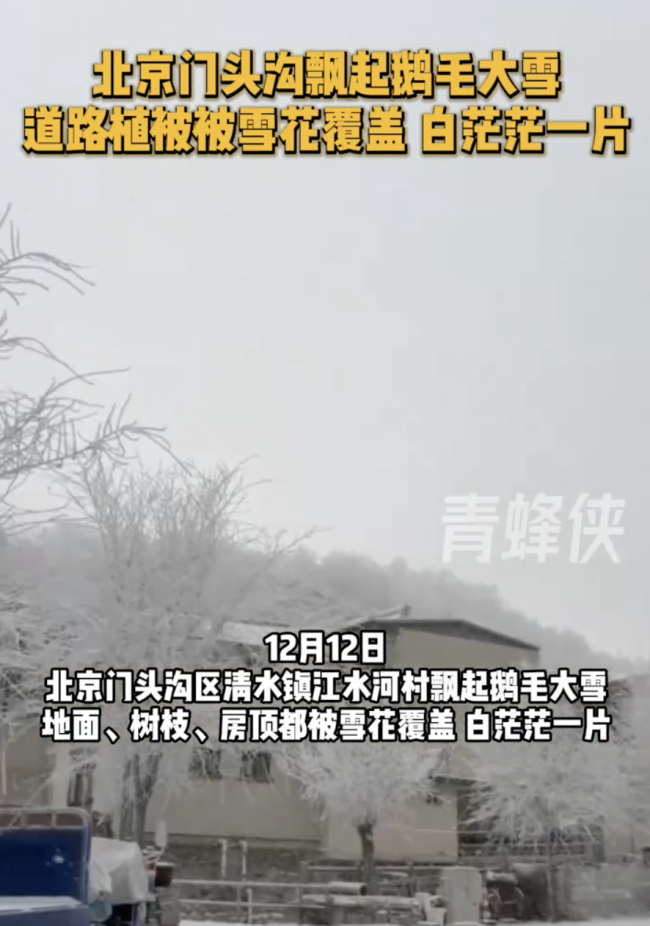 北京門頭溝飄起鵝毛大雪