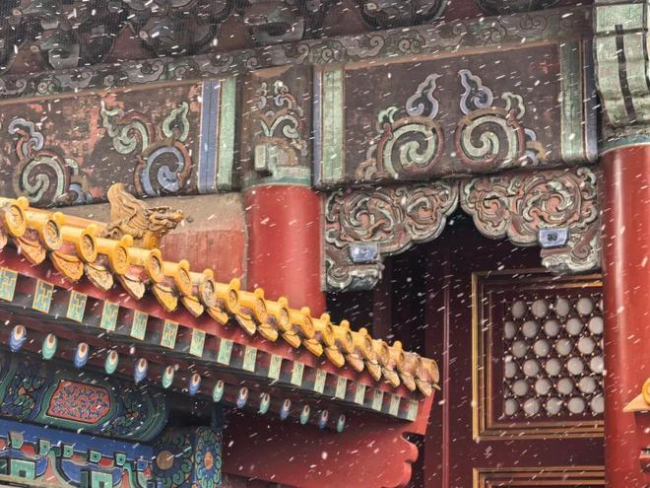 天津下雪 全市迎來初雪天氣