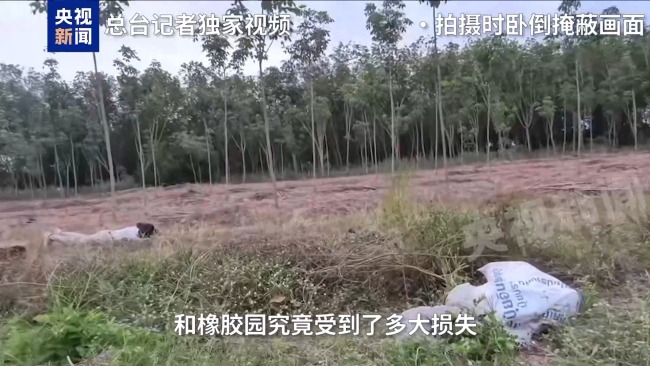 泰柬边境局势紧张 泰国边境加强安全管控