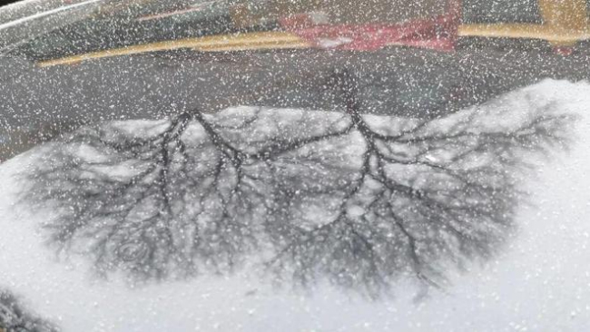 天津终于下雪了 全市迎来首场降雪