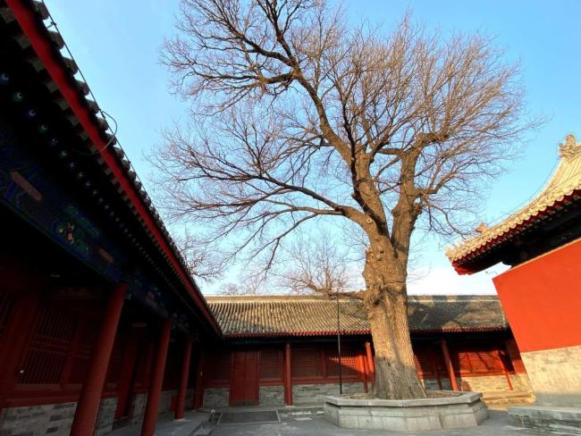 天坛公园曾藏着一座“细菌工厂” 日军侵华罪行见证地