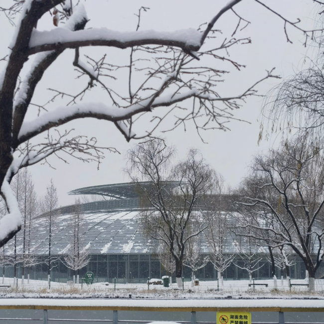 濟(jì)南九大公園同步換“銀裝” 雪景如畫冬日浪漫