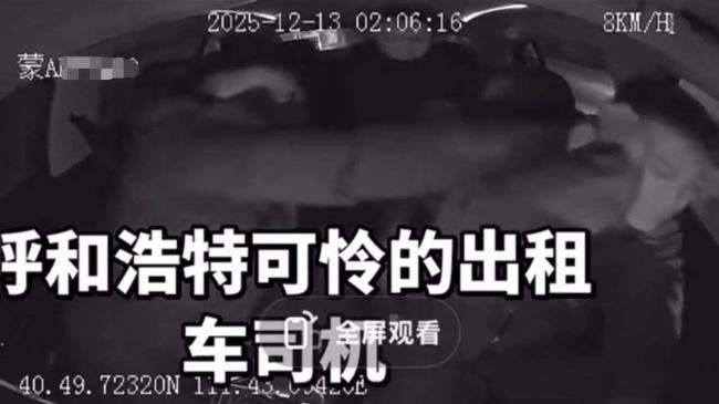 公司回應(yīng)兩男子車(chē)內(nèi)拽發(fā)毆打的哥 嫌疑人已被刑拘