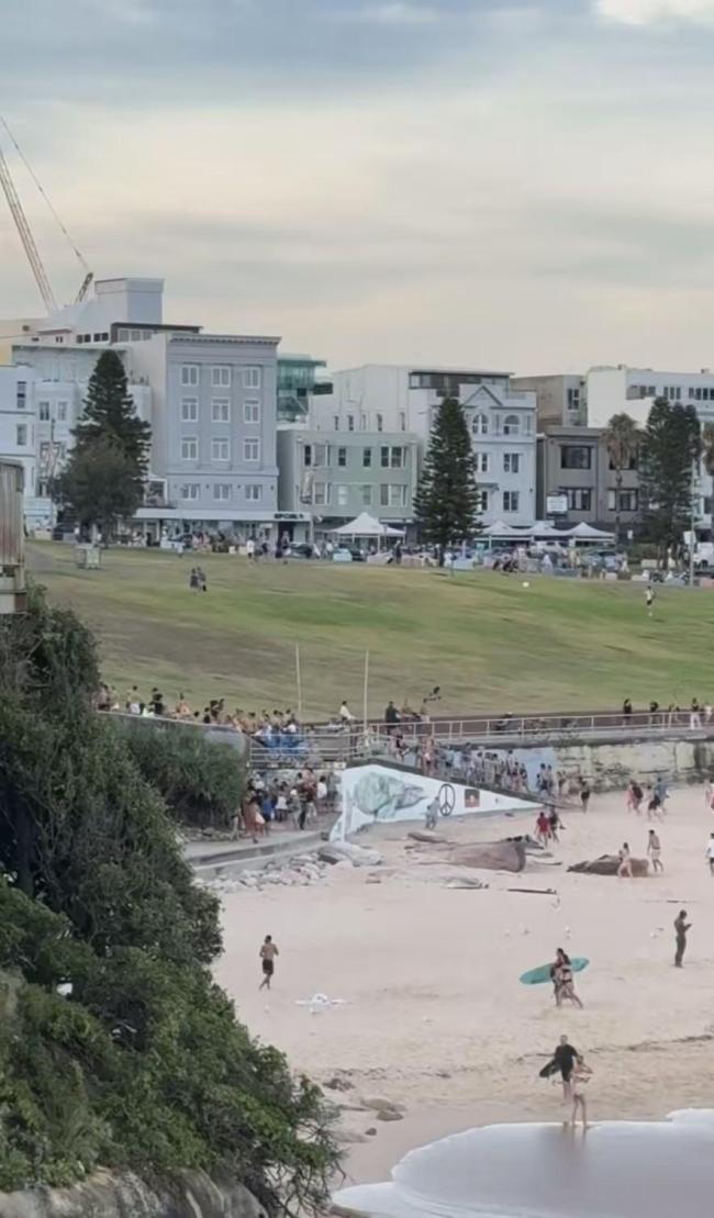 澳枪击案现场画面:枪声大作民众奔逃