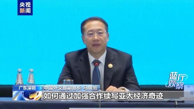 被寄予厚望的APEC“中國年”有何看點？