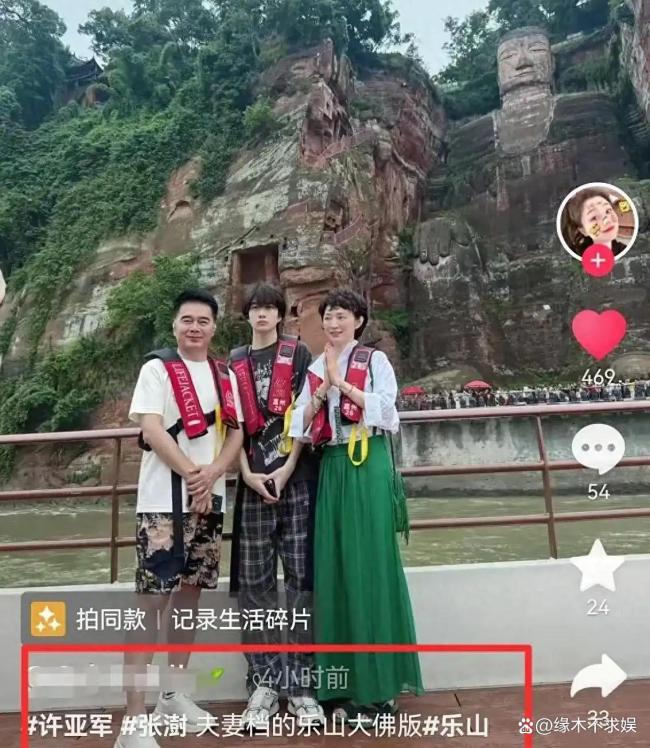 何晴儿子称许亚军霸道 父子关系引关注