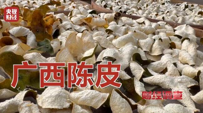 新会陈皮造假:别搞错打假重点 年份与产地乱象揭秘