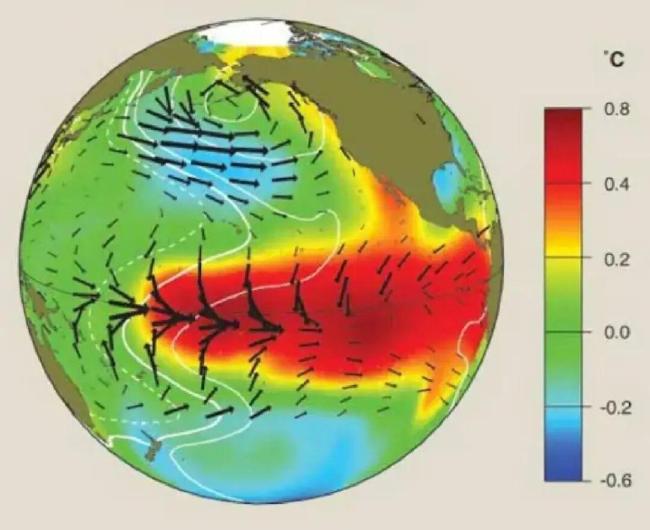 机构:2025年为有记录来第二热年 气候危机加剧