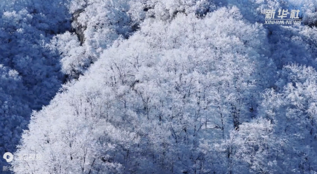 河南济源：王屋山现雾凇景观