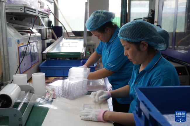 这座苏北县城为何吸引30万年轻人返乡 产业转型带动就业热潮