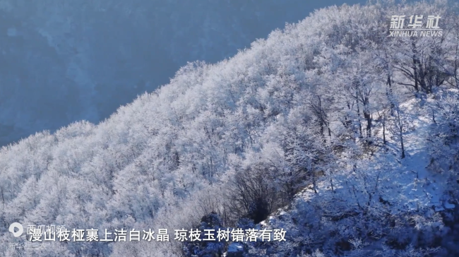 河南济源：王屋山现雾凇景观