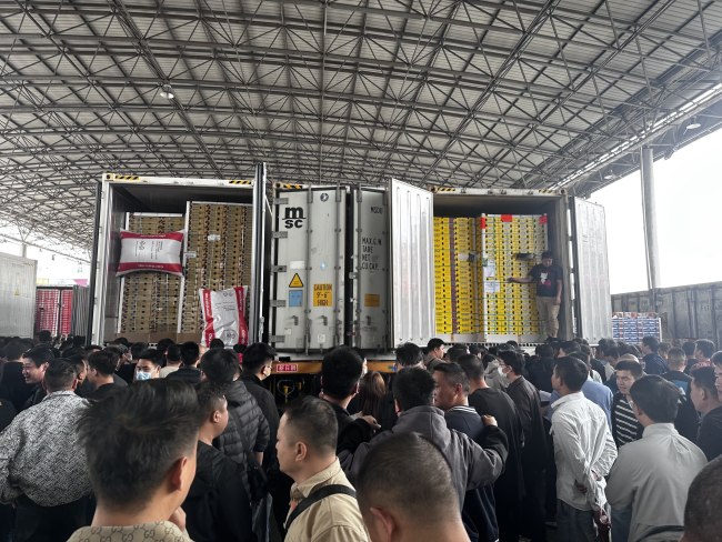 今年车厘子比去年还便宜 批发市场围猎降价货源