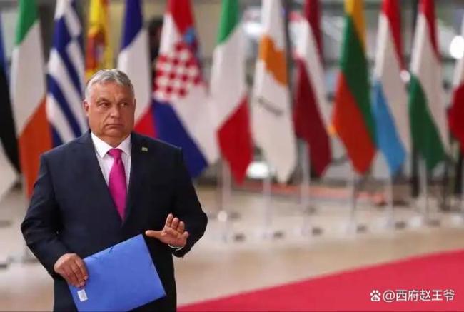 美俄欧就俄乌和平计划各打着啥算盘 欧盟的“饮鸩止渴”豪赌