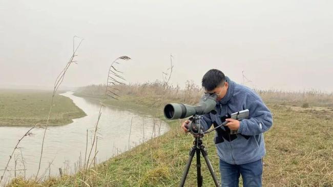 数十万只候鸟是怎么“数”出来的