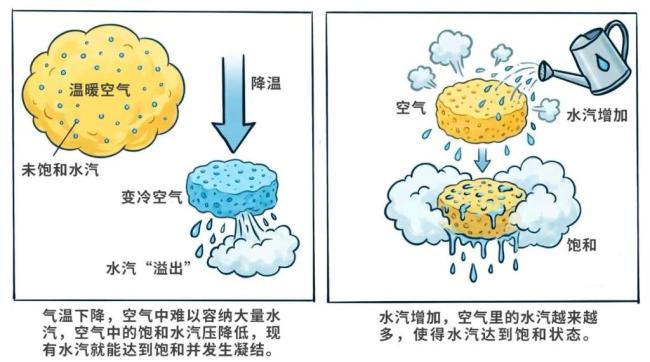 为何冬季常有大雾，还尤其爱在清晨“现身”？首席预报员解读 气温下降与辐射冷却所致