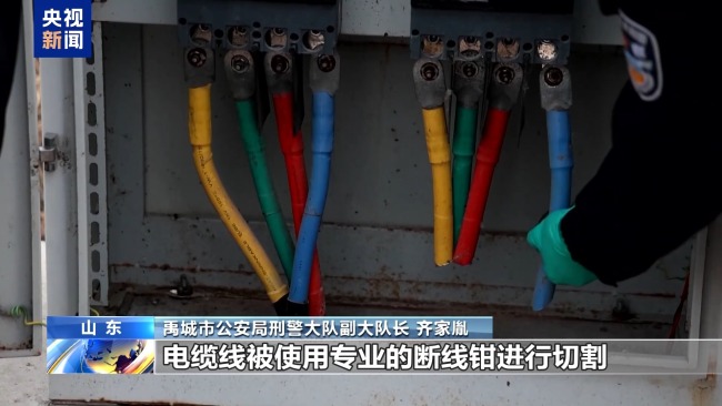 电缆大盗上演“黑吃黑” 作案20余次终落网