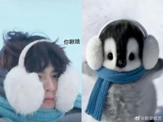 刘耀文脸罩 御寒又可人