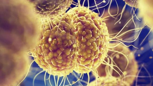 2025年驰盈策略，十大太空发现 科学突破引领未来方向