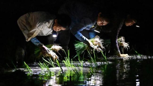 2025年，十大太空发现 科学突破引领未来方向