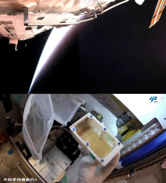 中国载人航天2025精彩回眸