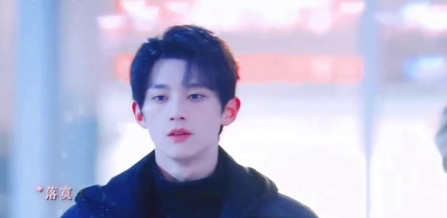 骄阳似我 光浑浊 错过的树与整片丛林