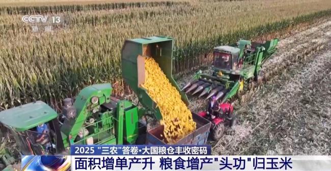 为何今年全国粮食产量再创新高 丰收来之不易