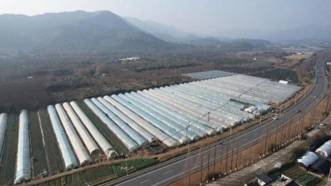 儿子离世留上万斤蔬菜 父亲获帮助 爱心助农接力中