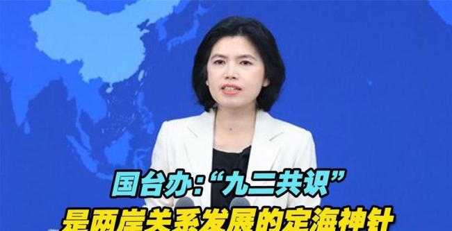 郑丽文再提“九二共识”反对“台独”