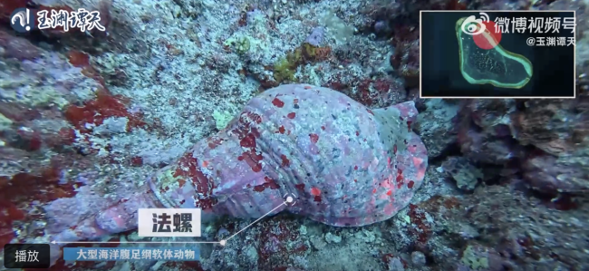 沉浸式体验黄岩岛“体检师”的一天