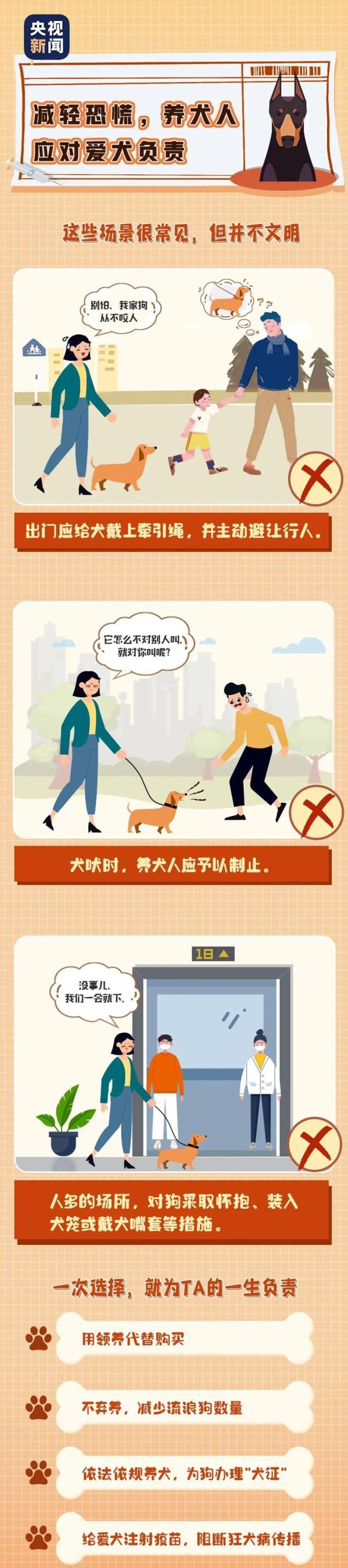 明起不文明养犬行为最高拘10天罚1千元 新法划定“红线”