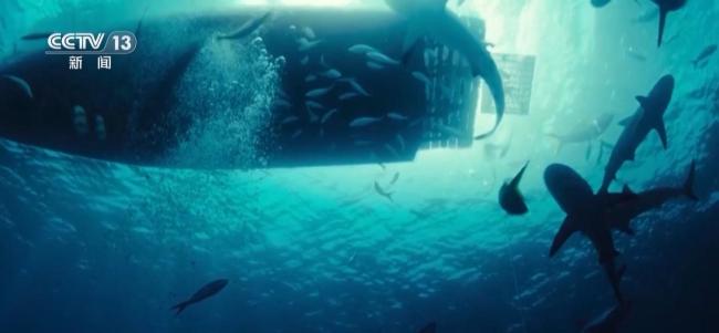 中国电影持续“圈粉”海外 多元题材赢得国际赞誉